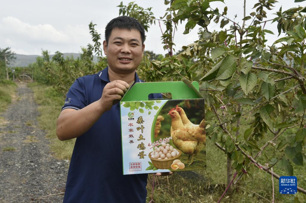 集结电子平台